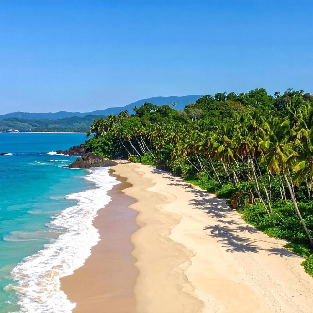 idyllic-tropical-island-beach-paradise-pristine-sandy-shoreline-with-swaying-palm-trees-and-turquoise-ocean-waves-free-photo